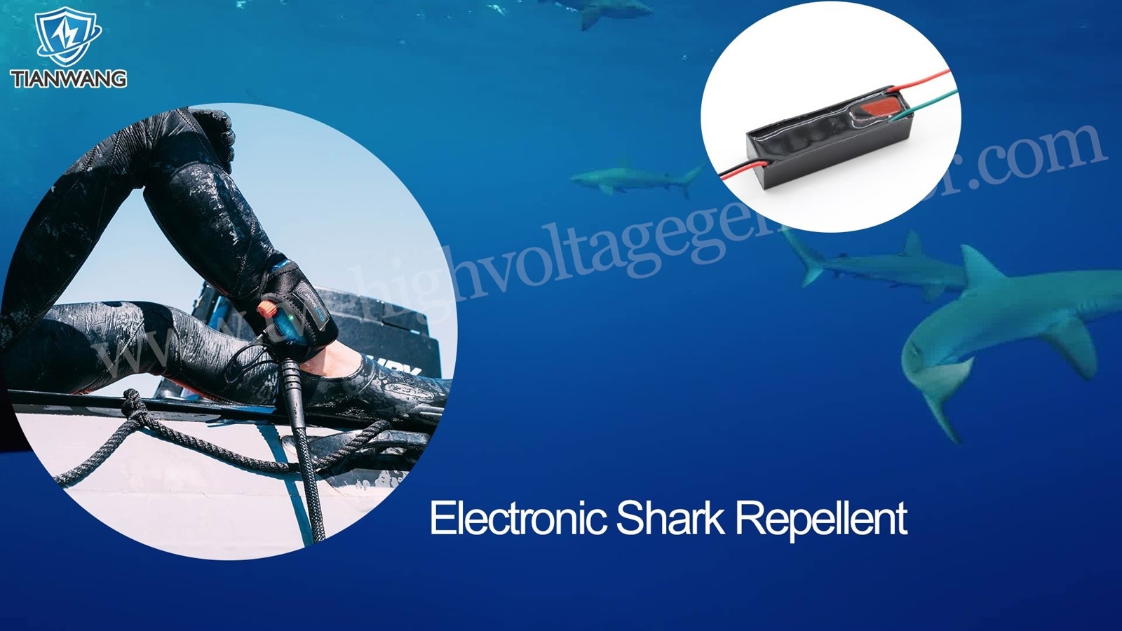 DC high voltage generator used in shark repellent DC high voltage generator used in shark repellent
